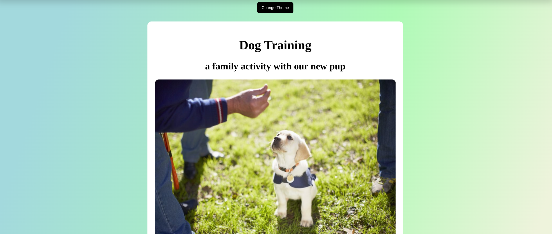 Dog Training App Preview